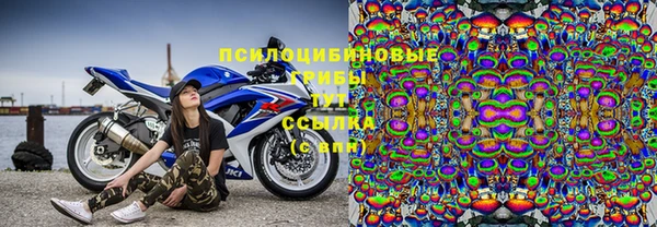 стаф Бугульма