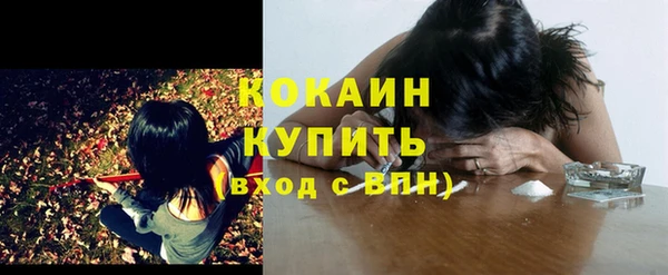 стаф Бугульма
